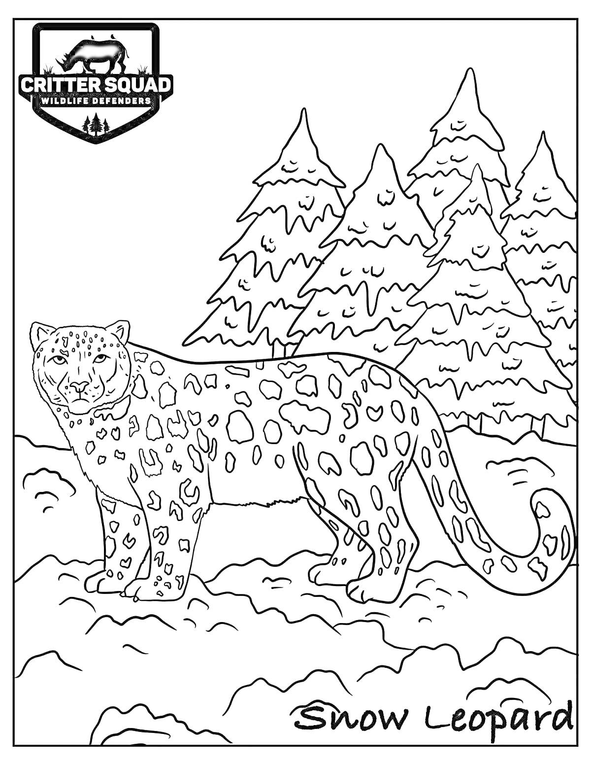 На раскраске изображено: Снежный барс, Дикий кот, Хвойный лес, Снег, Природа, Зима