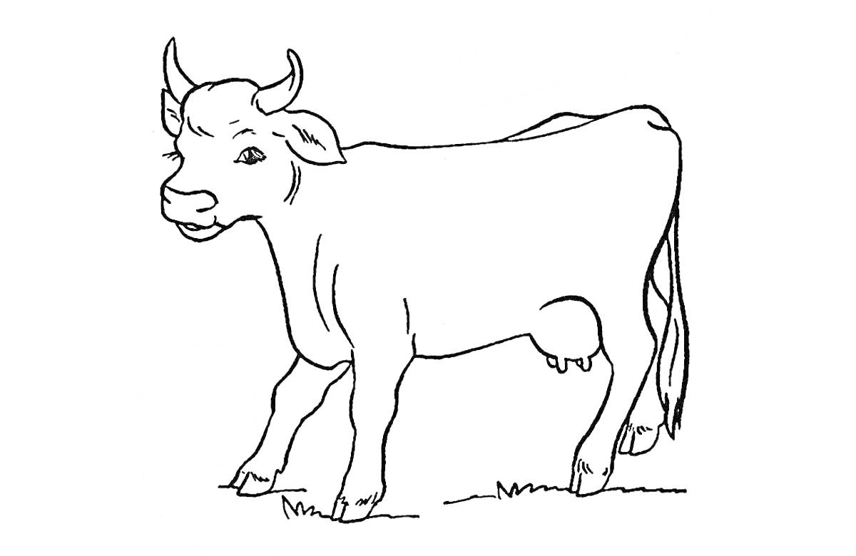 На раскраске изображено: Корова, Домашние животные, Пастбище, Теленок, Природа, Для детей
