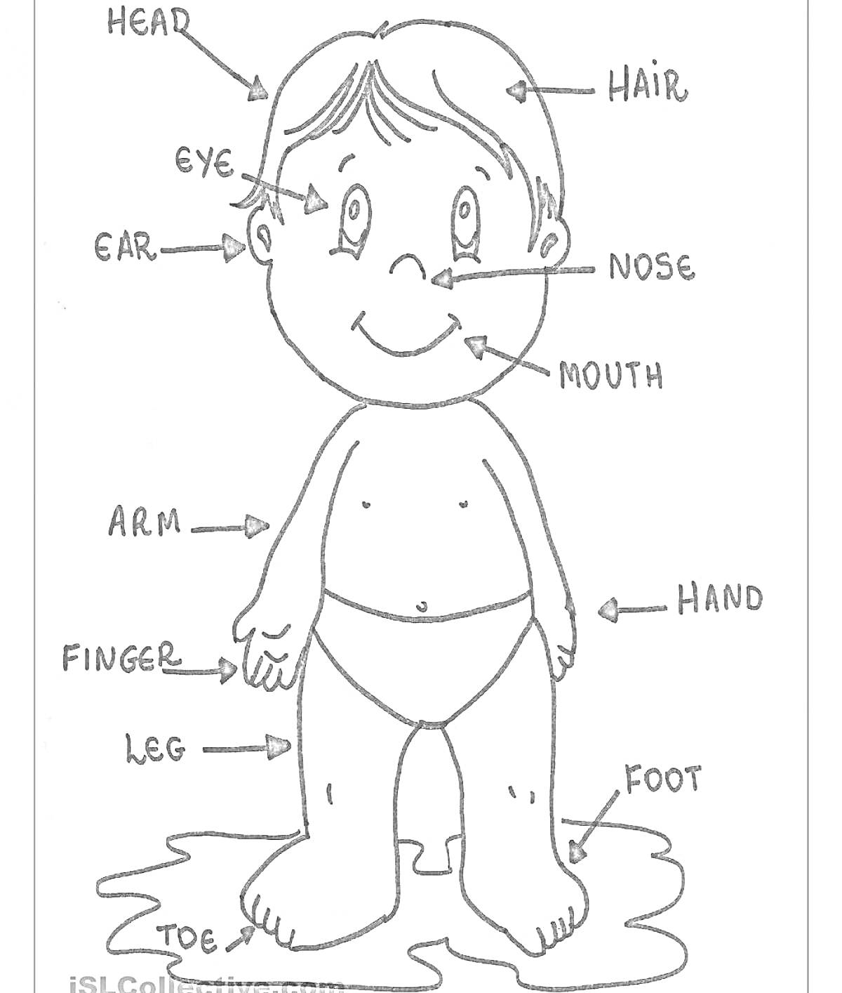 На раскраске изображено: Nose