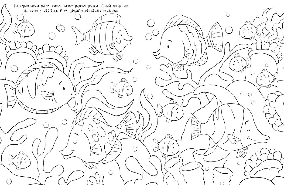 Раскраска Рыбы и кораллы под водой, разные виды рыб, кораллы, пузыри