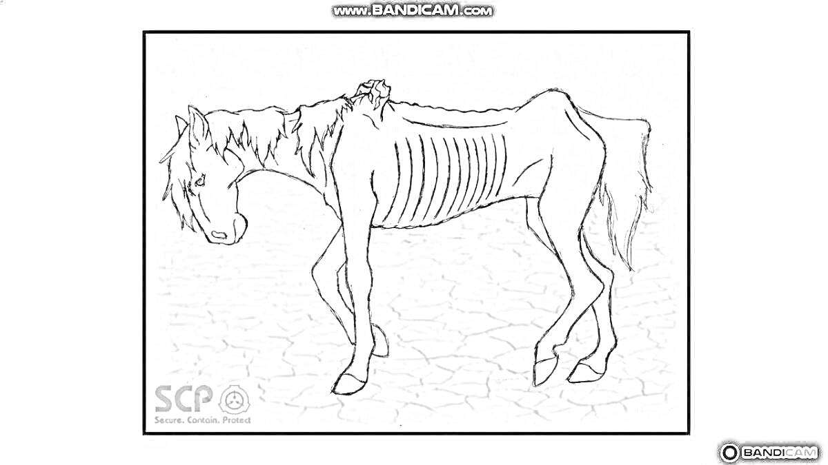 Раскраска Долговязая лошадь с выпирающими костями на потрескавшейся земле