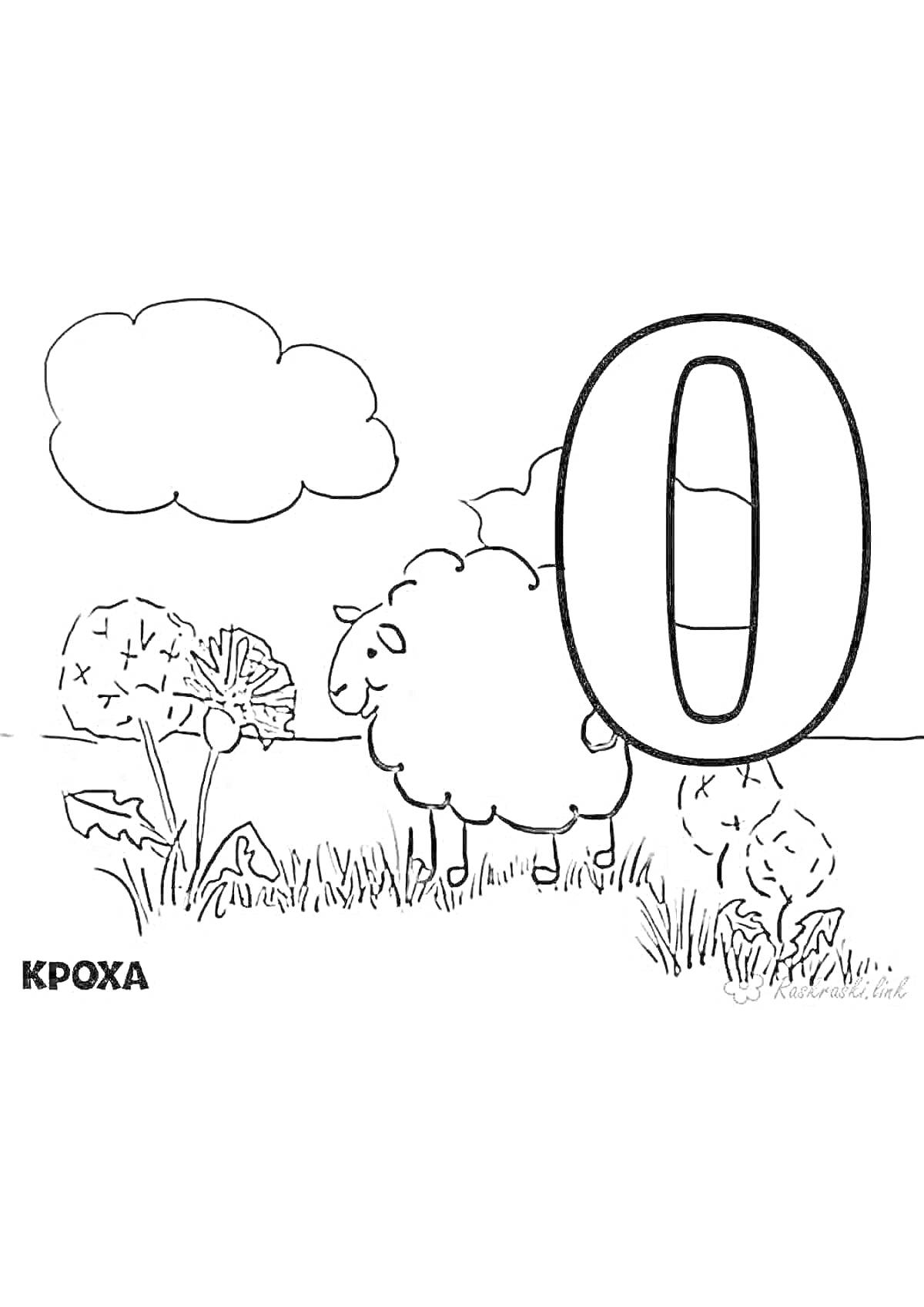 Раскраска Овца на лугу с большой буквой 