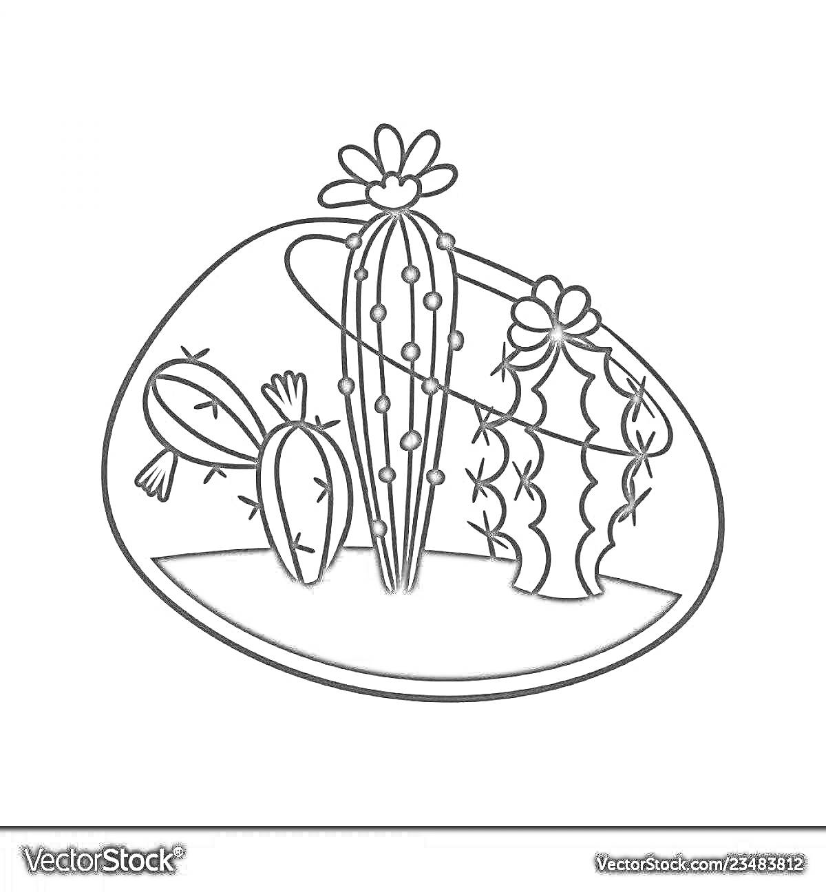 На раскраске изображено: Террариум, Кактусы, Цветы, Растения