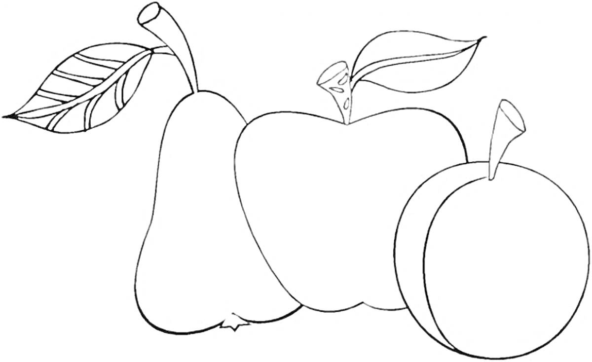 На раскраске изображено: Яблоко, Слива, Фрукты, Для детей