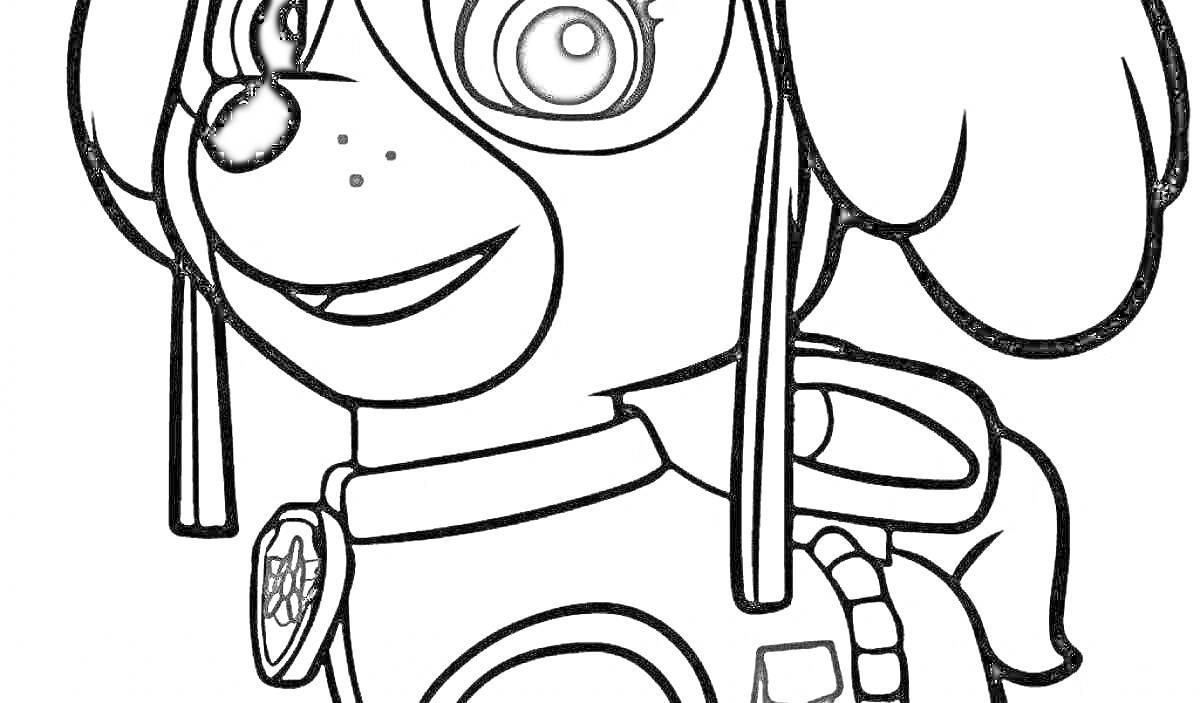 Раскраска Мега Скай в амуниции с очками и эмблемой