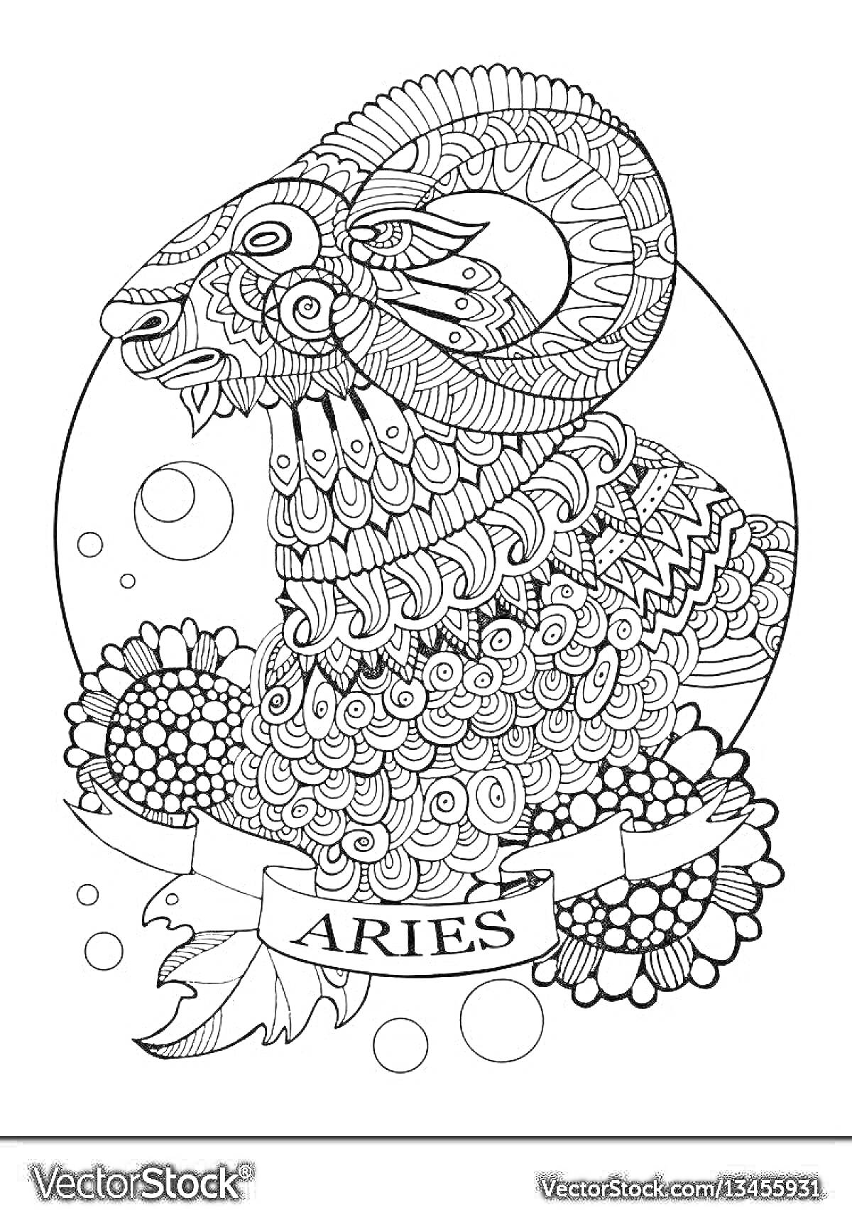 Раскраска Овен. Антистресс раскраска с изображением овна, окантованный кругом, орнамент цветы, лента с надписью 