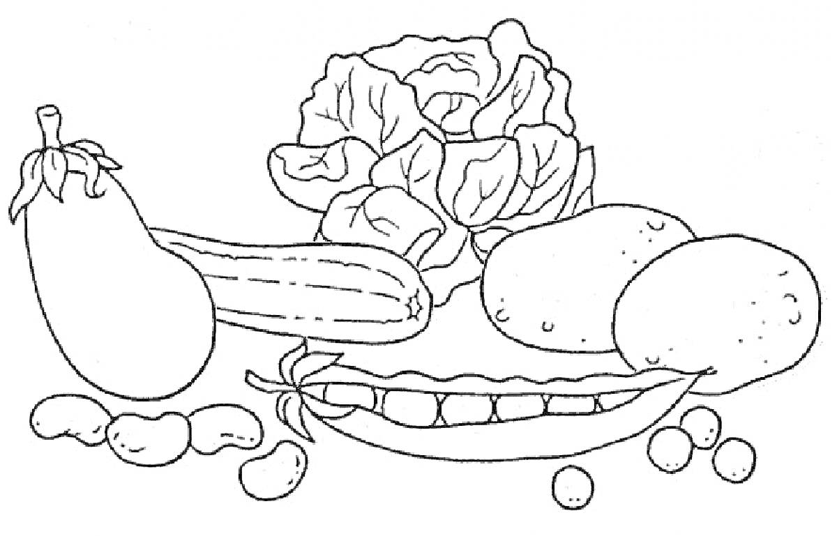На раскраске изображено: Натюрморт, Овощи, Фрукты, Баклажан, Огурец, Салат, Картофель, Фасоль, Горох, Еда