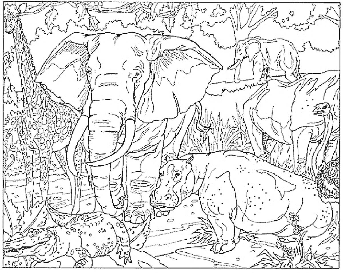 На раскраске изображено: Саванна, Бегемот, Носорог, Крокодил, Страус, Деревья, Природа, Животные