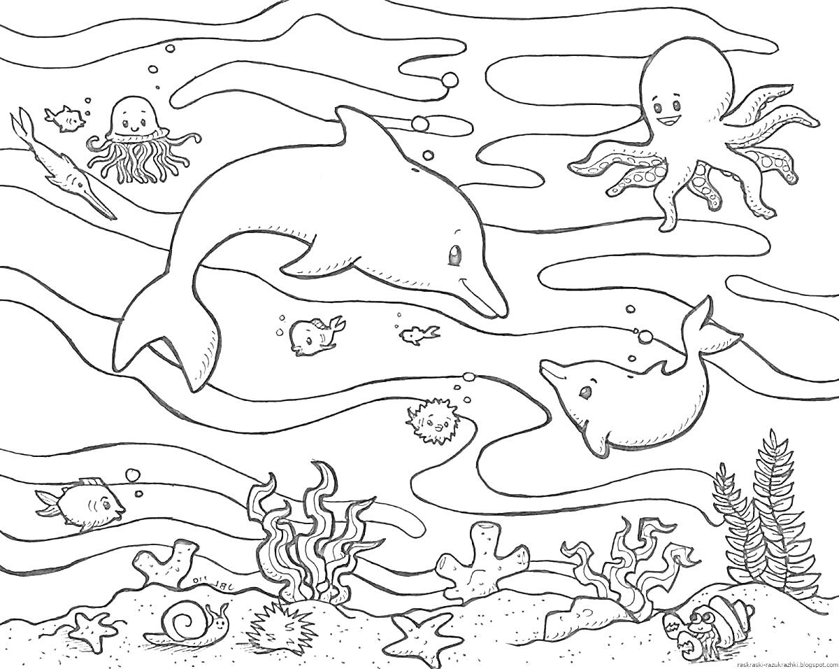На раскраске изображено: Дельфины, Кораллы, Подводный мир, Море, Водоросли, Ракушка, Осьминоги, Рыба, Морские звезды