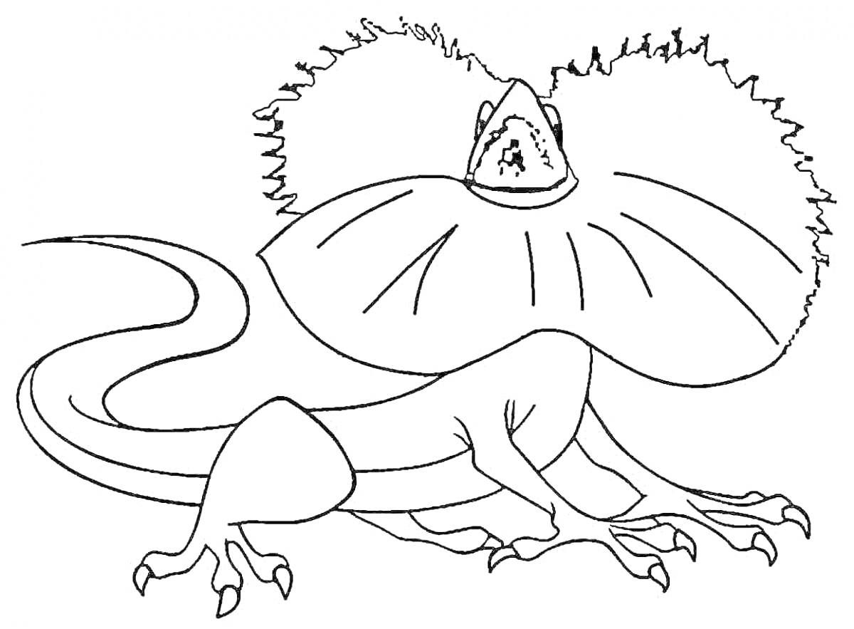 Раскраска Раскраска с изображением плащеносной ящерицы с характерным воротником