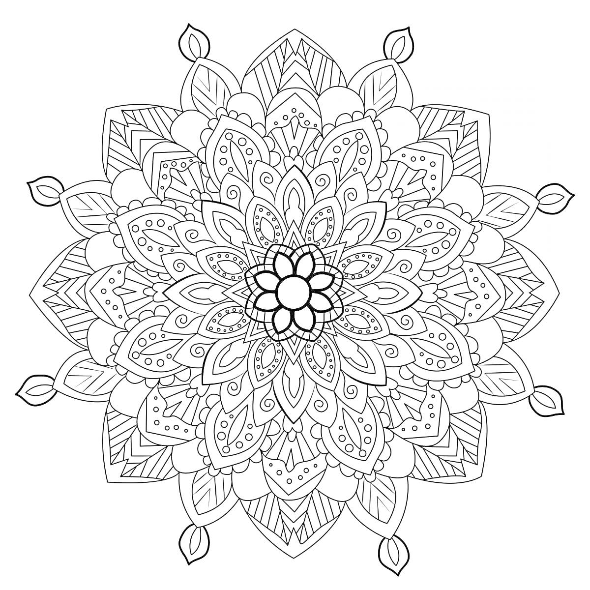 Раскраска Мандала с лепестками, волнистыми линиями и маленькими узорами