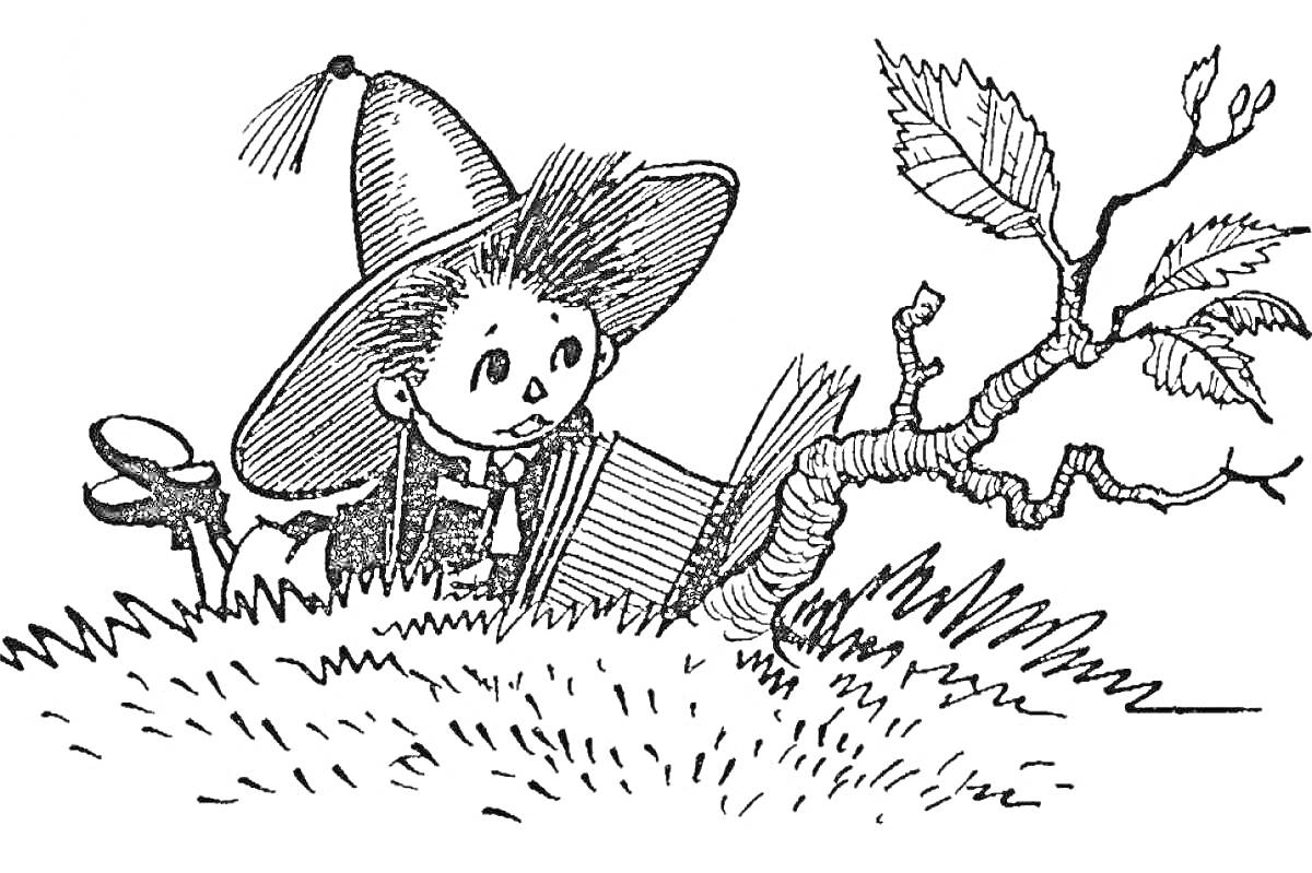 На раскраске изображено: Мальчик, Шляпа, Книга, Трава, Чтение, Носов, Деревья