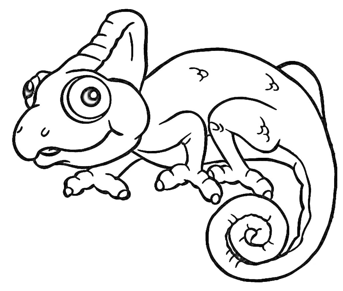 Раскраска Раскраска с изображением хамелеона с большими глазами и закрученным хвостом