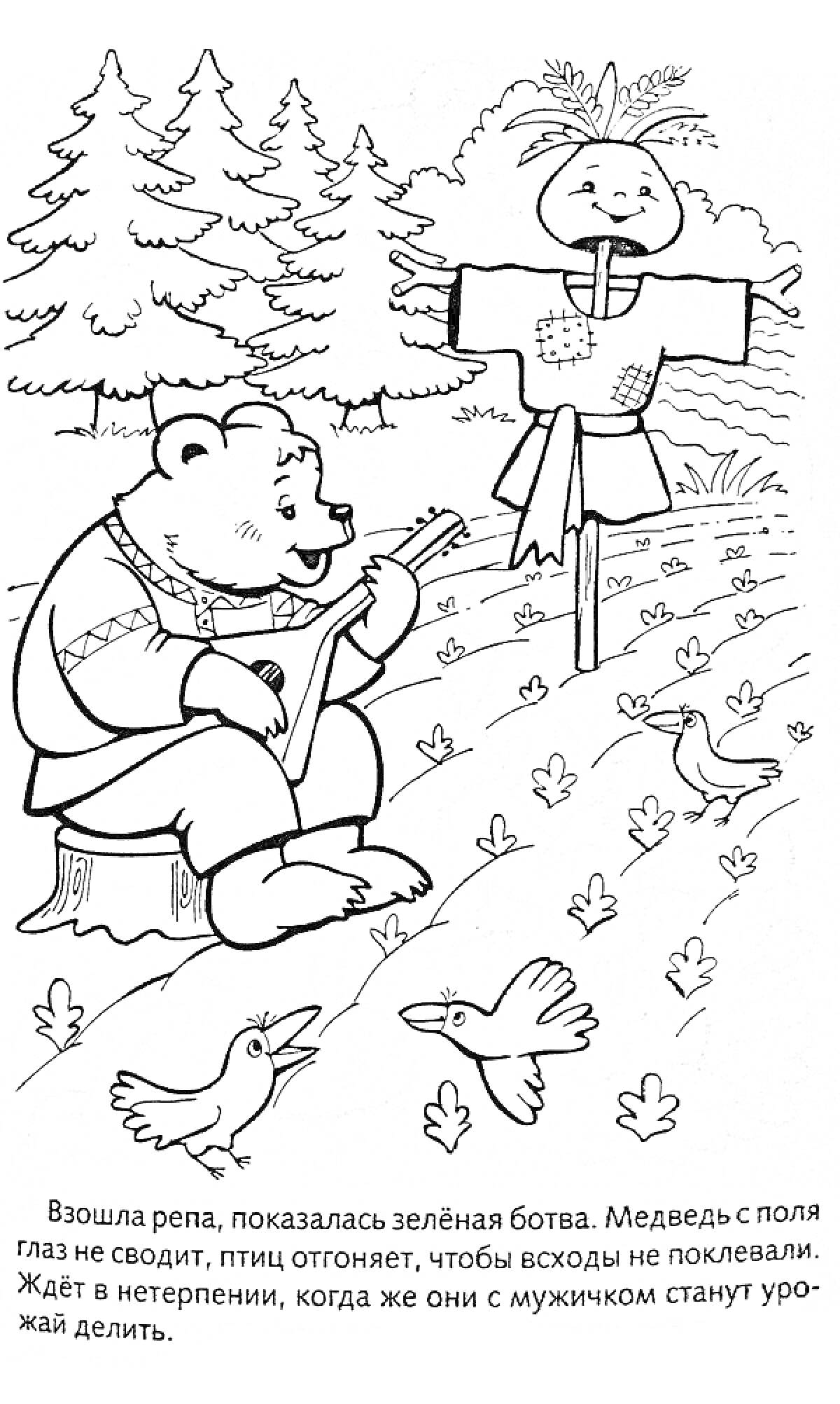 Раскраска Медведь охраняет репу с гитарой, чучело, птицы и лес на заднем плане
