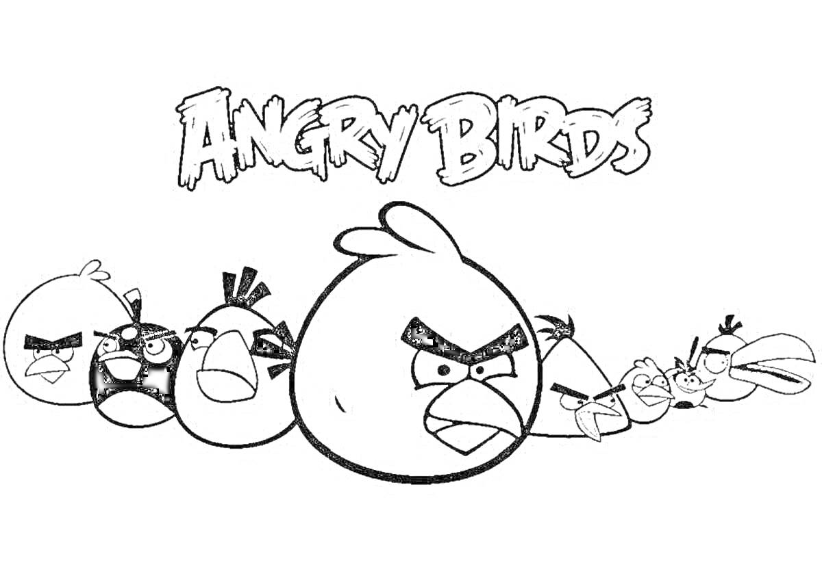 Раскраска Angry Birds, семь сердитых птиц разного размера и выражения лиц