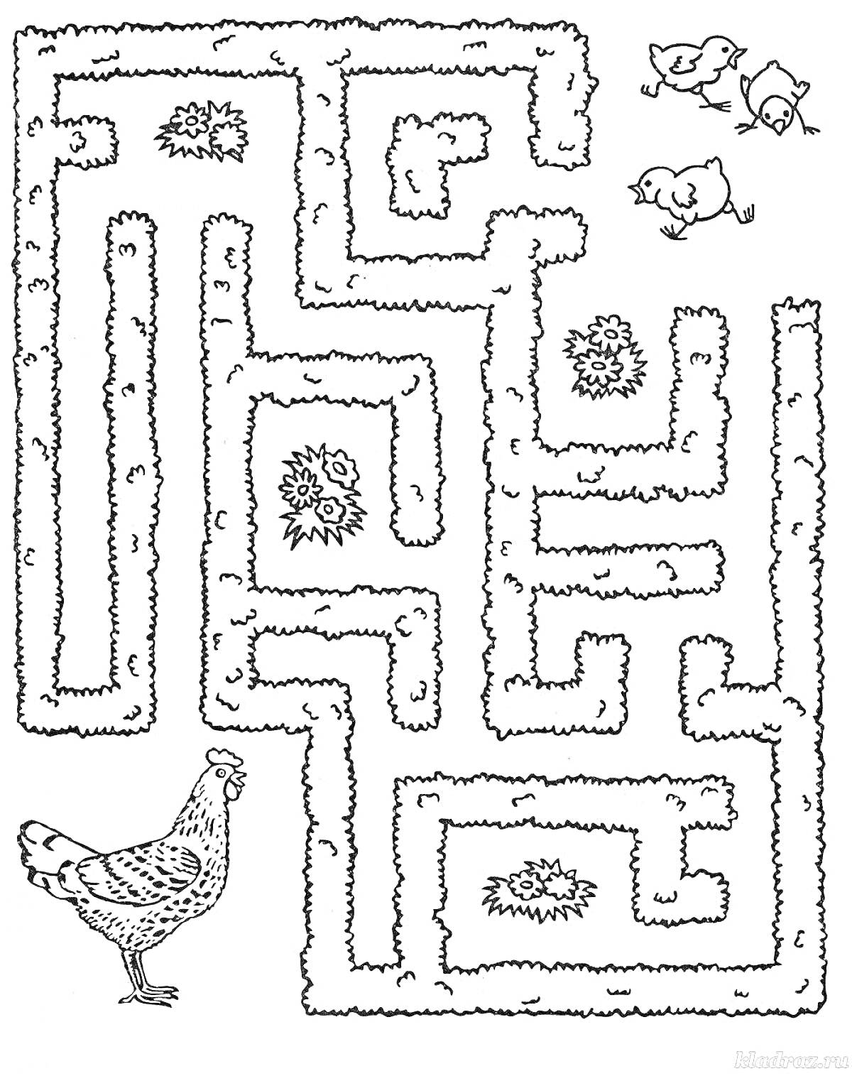 На раскраске изображено: Лабиринт, Цыплята, Развивающие задания, Головоломка, Ферма, Животные, Дети 3-4 года, Курицы
