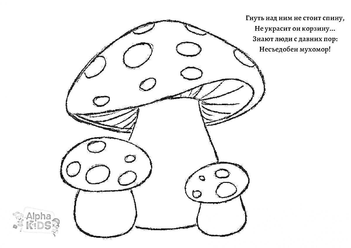 Раскраска Два маленьких грибка рядом с большим мухомором, текст, логотип Alpha Kids