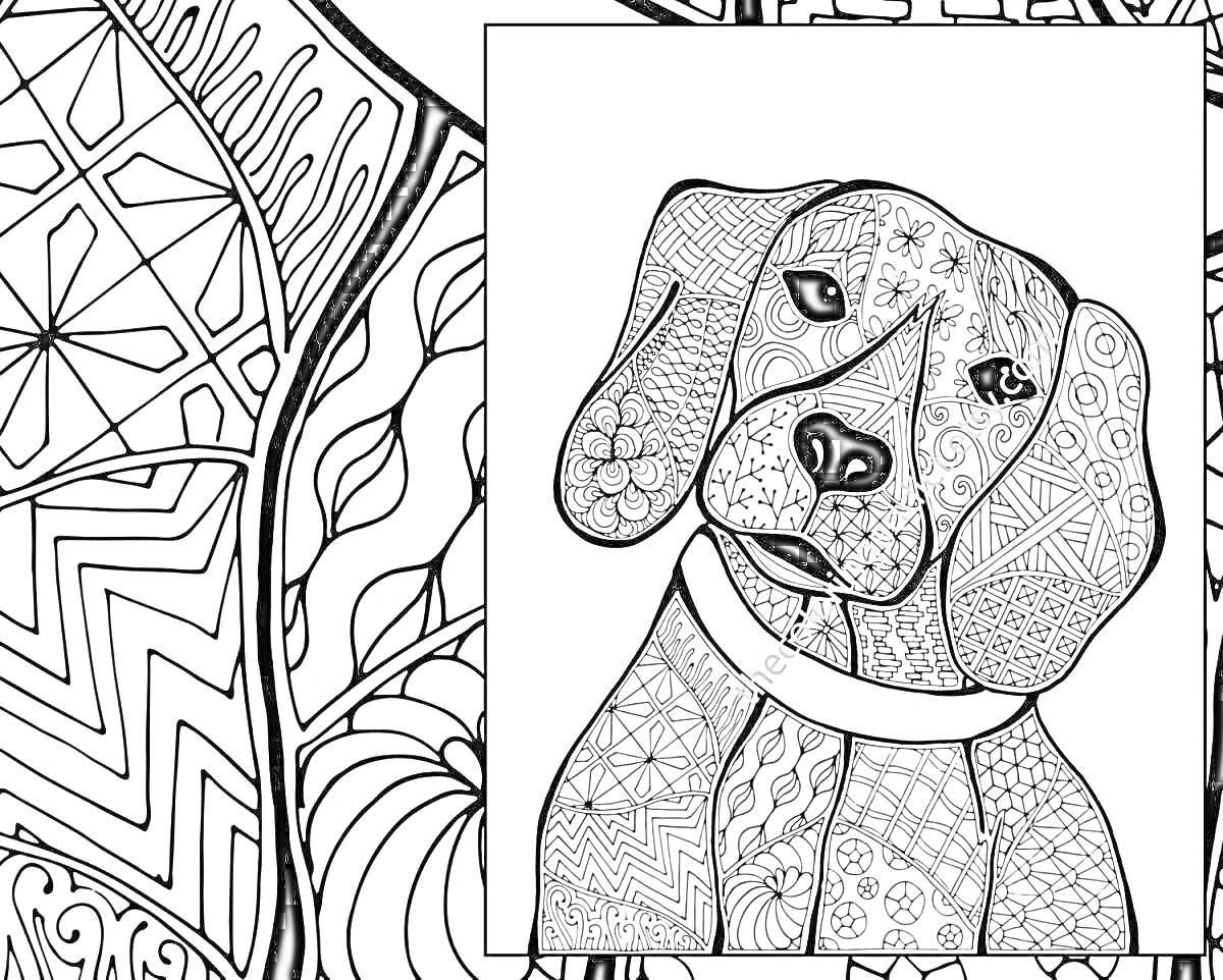 Раскраска Собака антистресс с узорами на голове, ушах и туловище на фоне абстрактных узоров