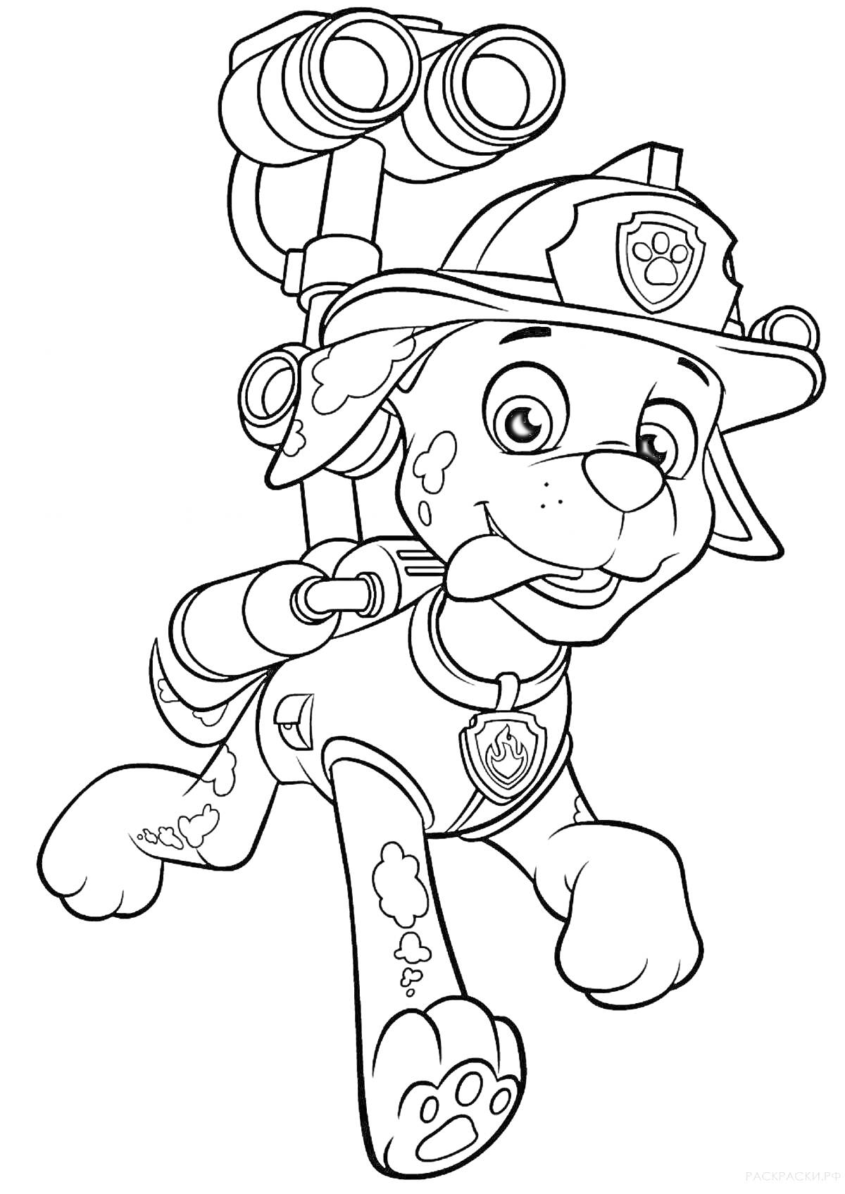 Раскраска щенок в пожарной каске с водяным ранцем и биноклем в зубах.