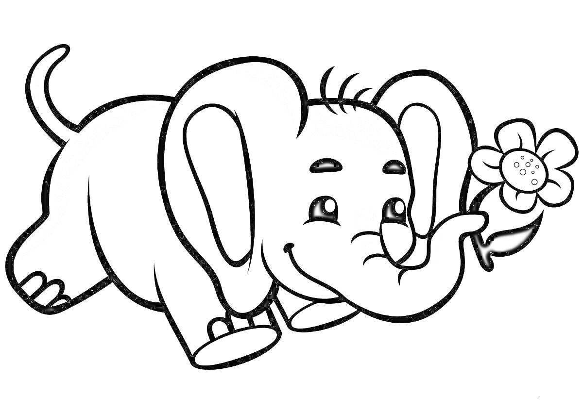 На раскраске изображено: Слон, Хобот, Животные, 7 лет, Для детей, Цветы