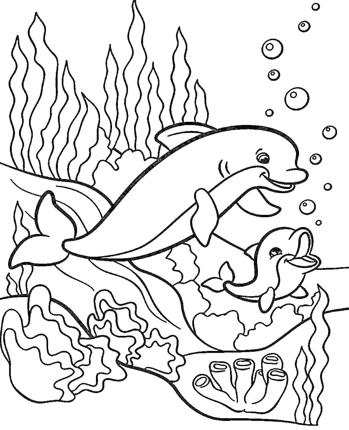 На раскраске изображено: Дельфины, Подводный мир, Водоросли, Пузыри, Кораллы, Море, Животные, Для детей
