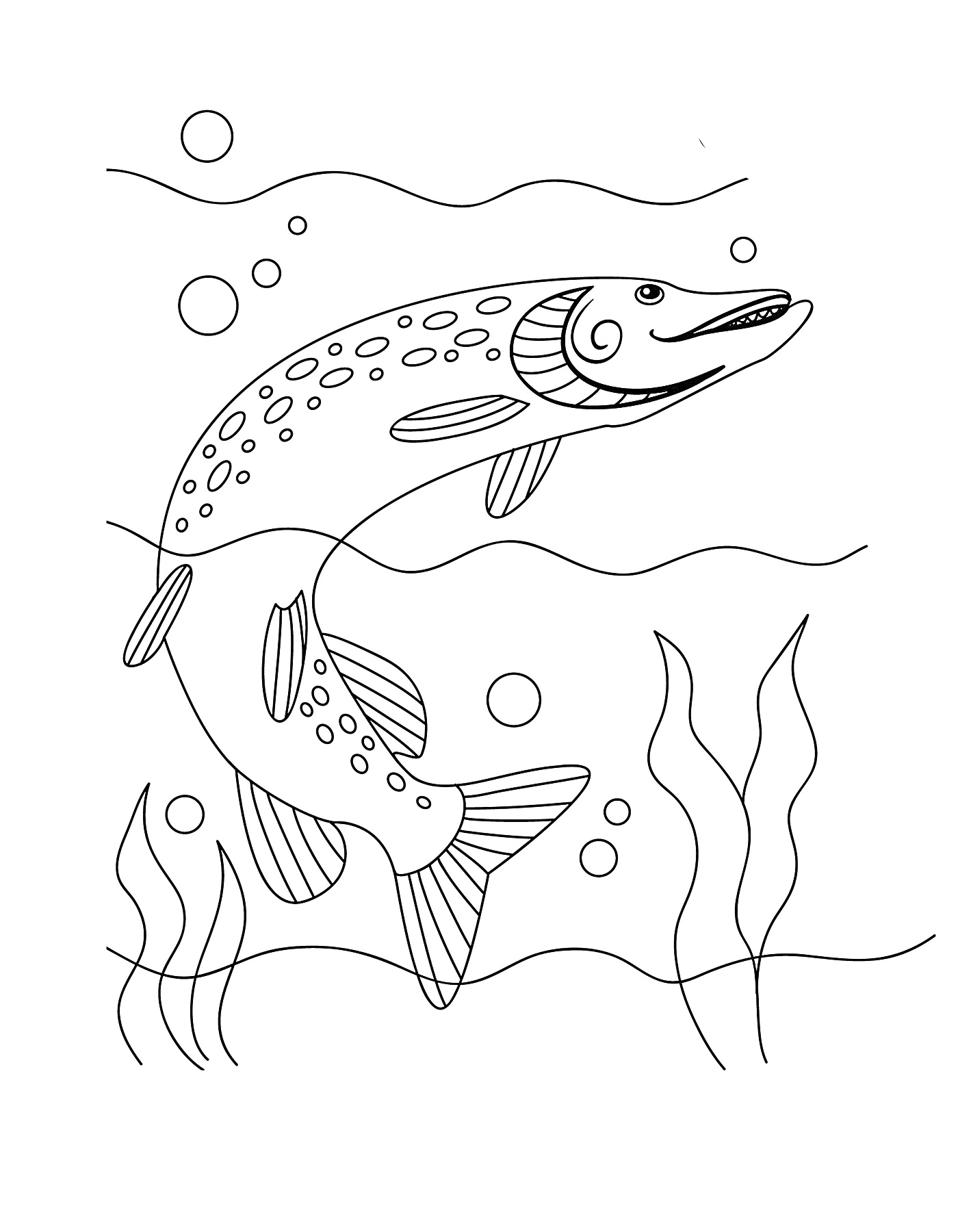 На раскраске изображено: Щука, Пузыри, Водоросли, Рыба, Подводный мир