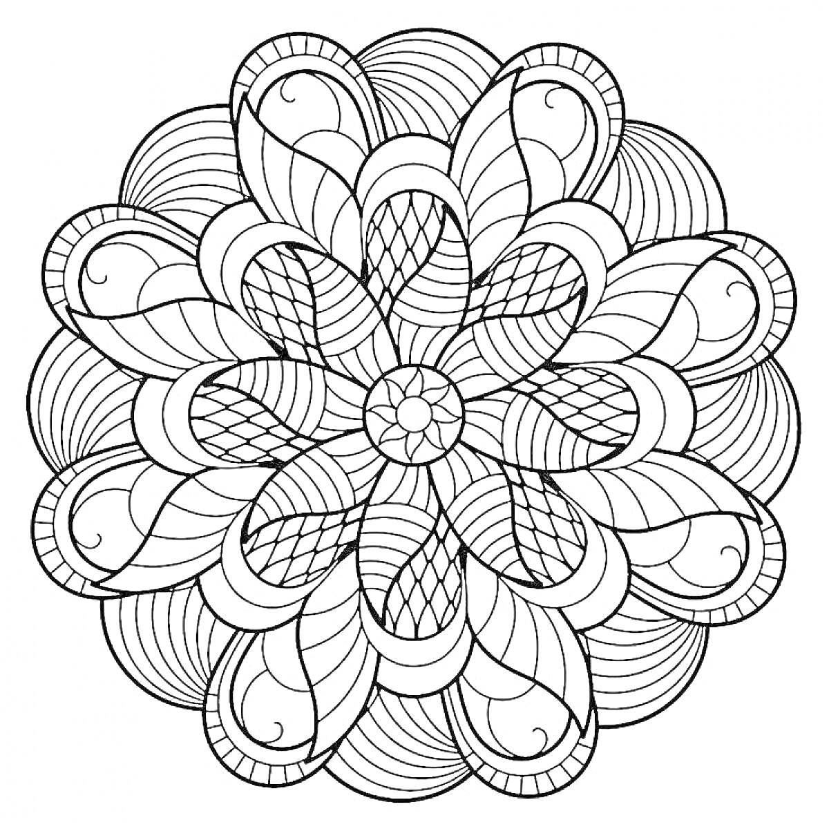 Раскраска Мандала с симметричными лепестками и сложным узором