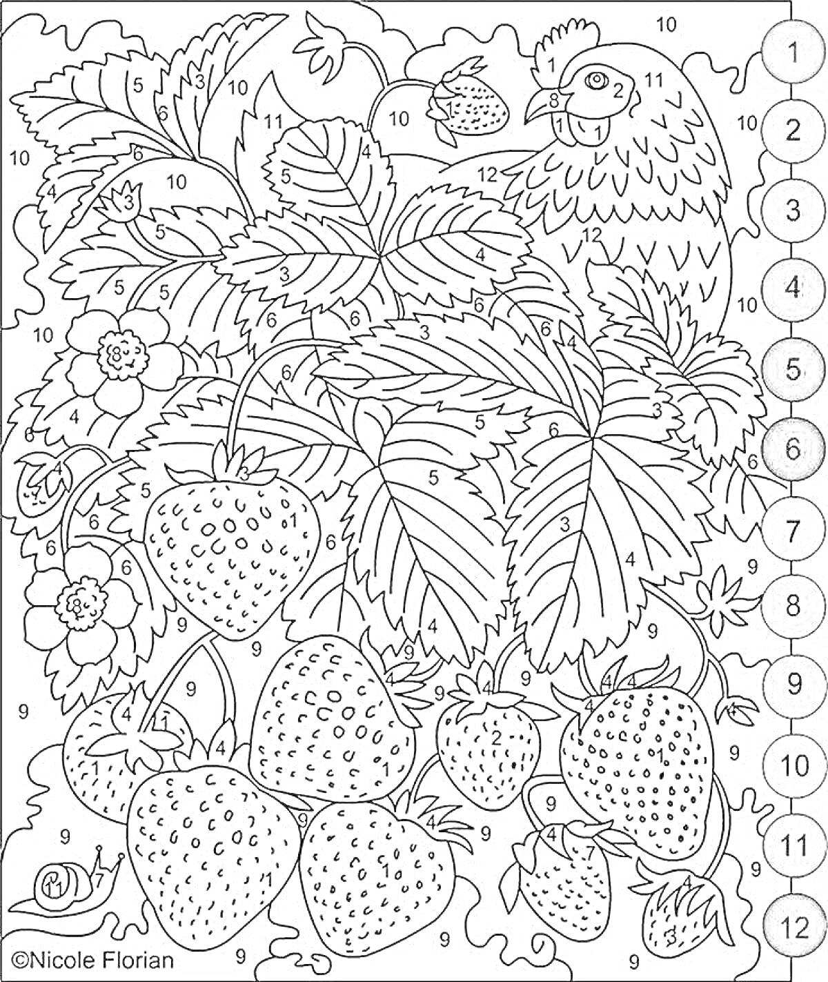 Раскраска Клубника, цветы, листья и птица