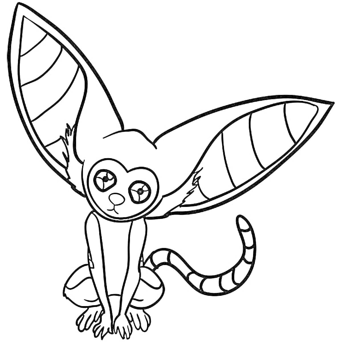Раскраска Momo с большими ушами и полосатым хвостом