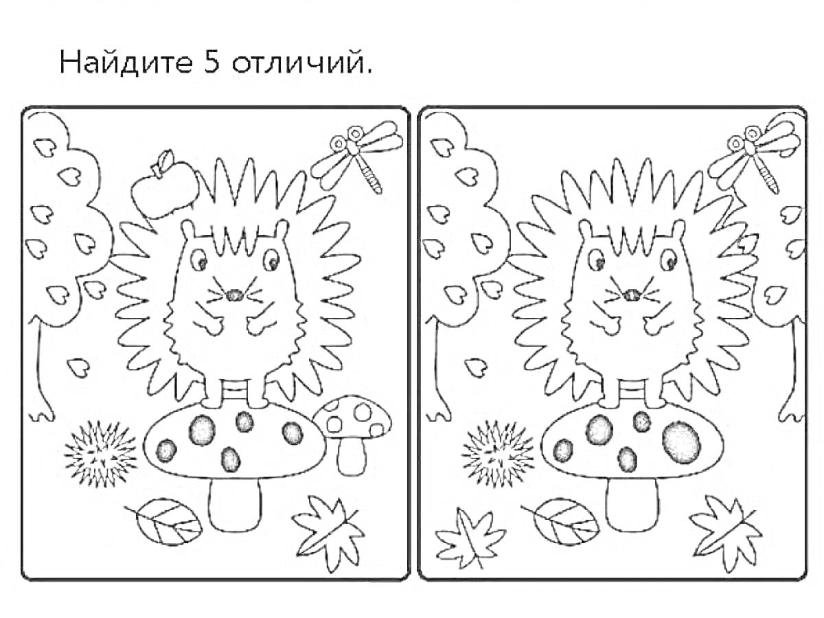 Ёжик на грибе среди леса, с яблоком на дереве, мухомором, стрекозой, ёжиком, листьями и твоёком - найти 5 отличий