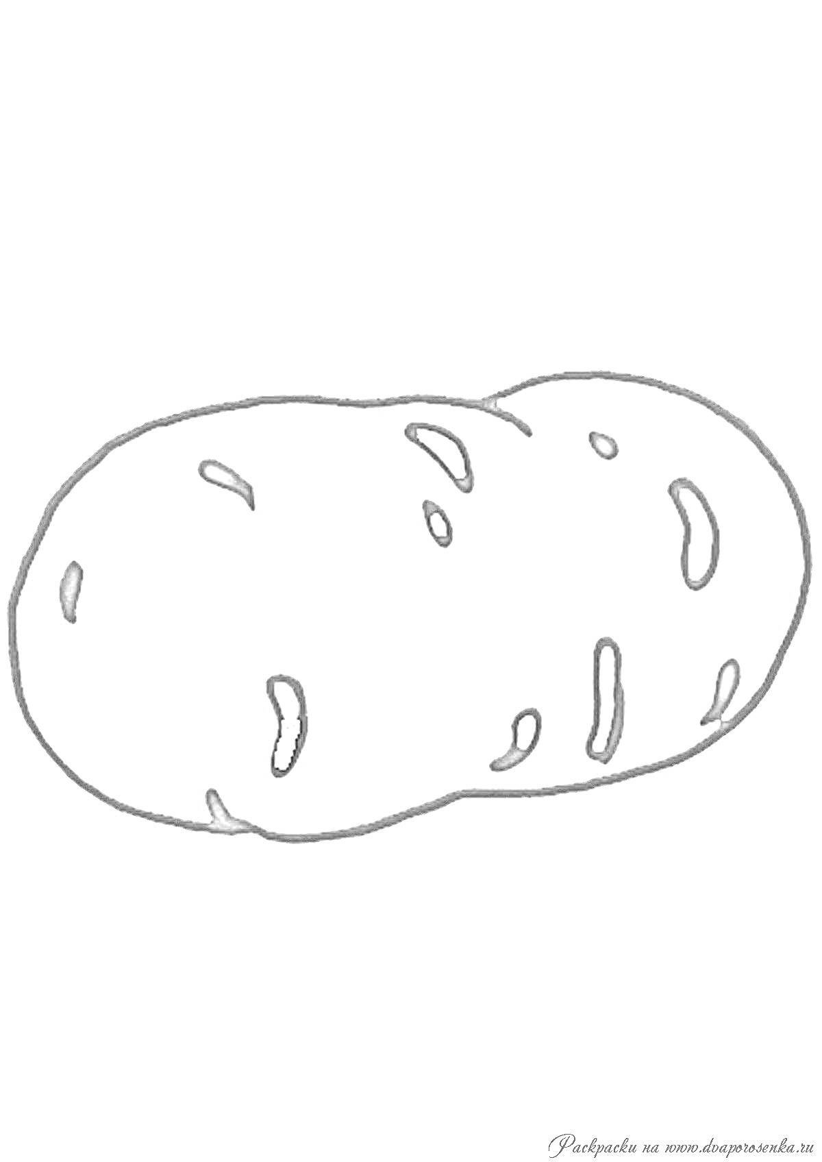 Раскраска Картофель (две картофелины)