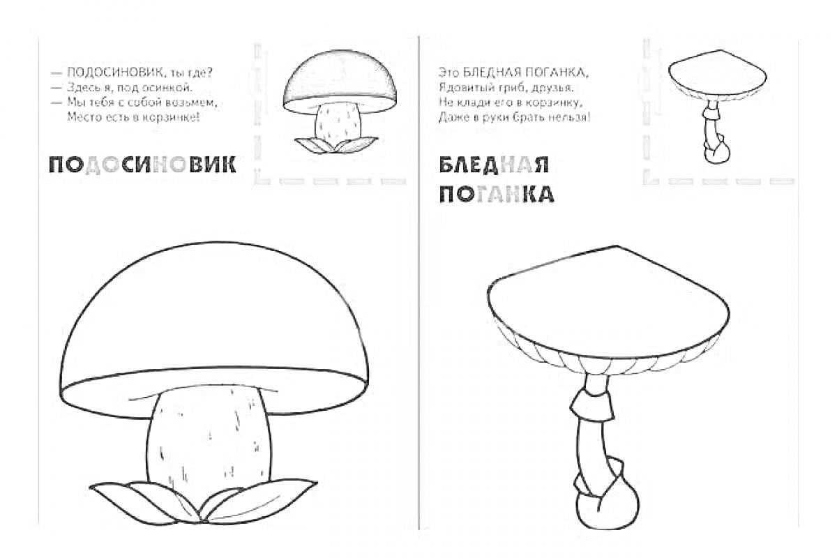 Раскраска Подосиновик и Бледная поганка