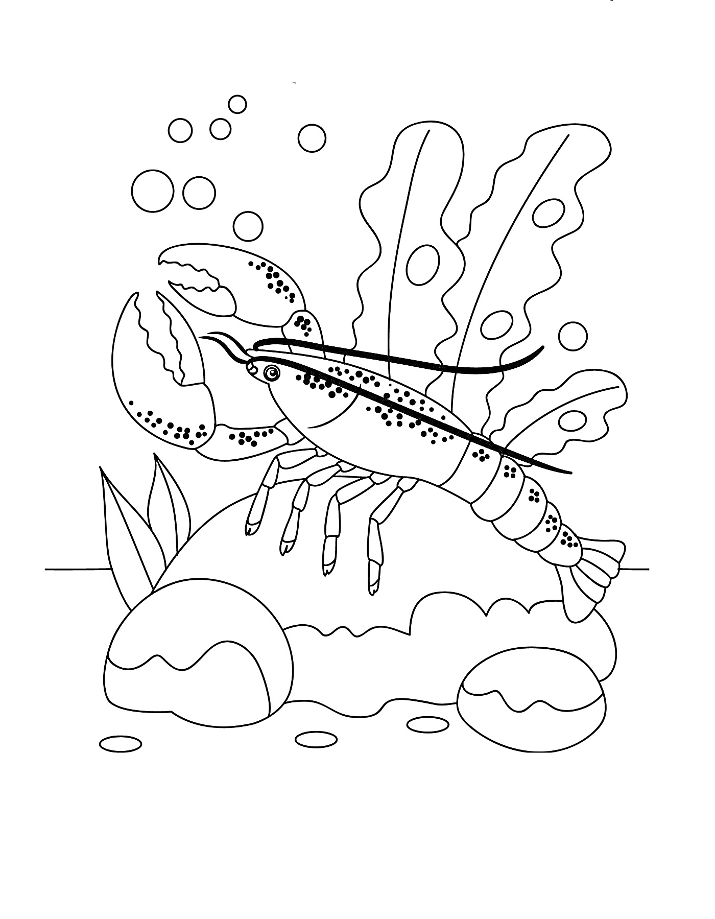На раскраске изображено: Водоросли, Пузыри, Морское дно, Подводный мир, Камни