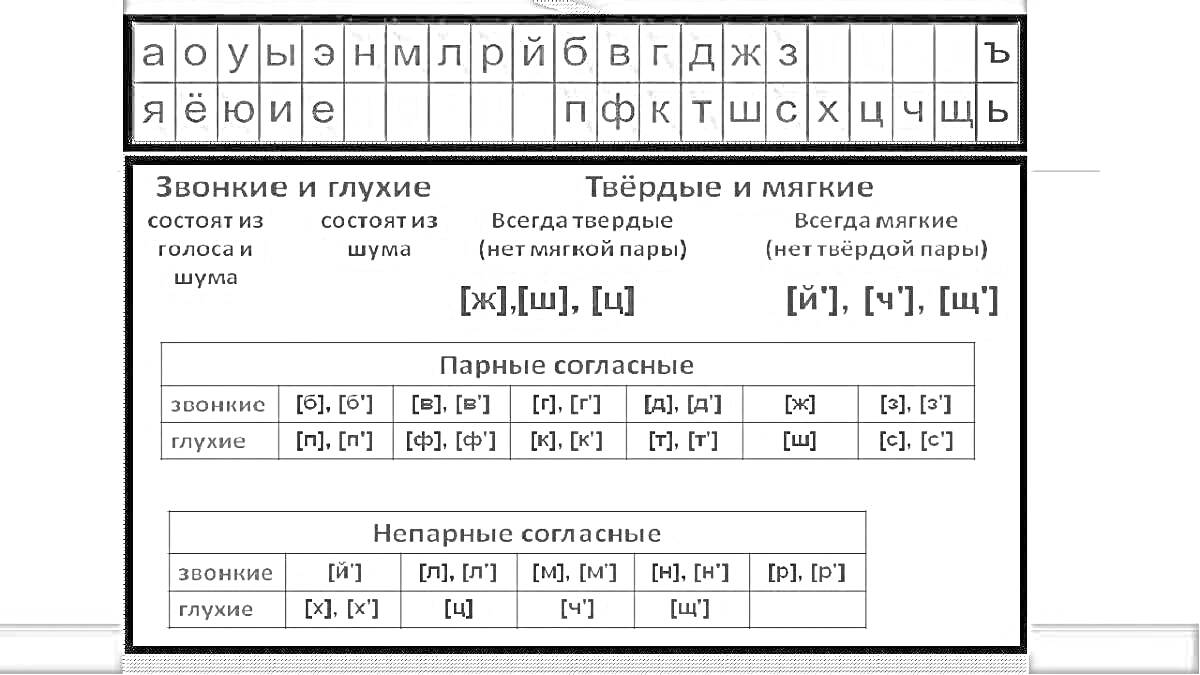 На раскраске изображено: Мягкие согласные, Твердые согласные, Звонкие согласные, Глухие согласные, Образование, Учебное пособие, Русский язык