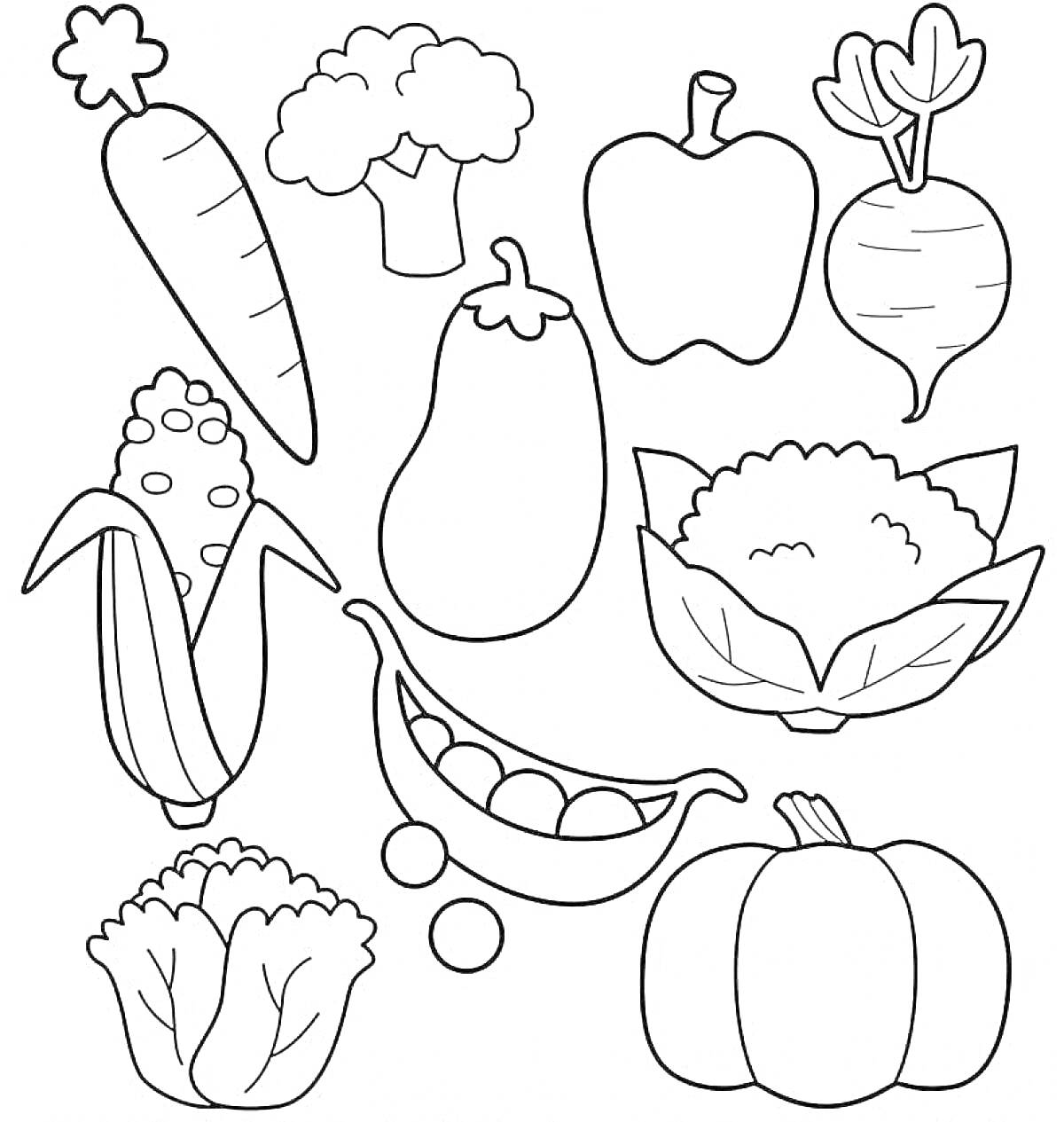 На раскраске изображено: Овощи, Морковь, Брокколи, Перец, Свекла, Баклажан, Капуста, Тыква, Кукуруза, Цветная капуста