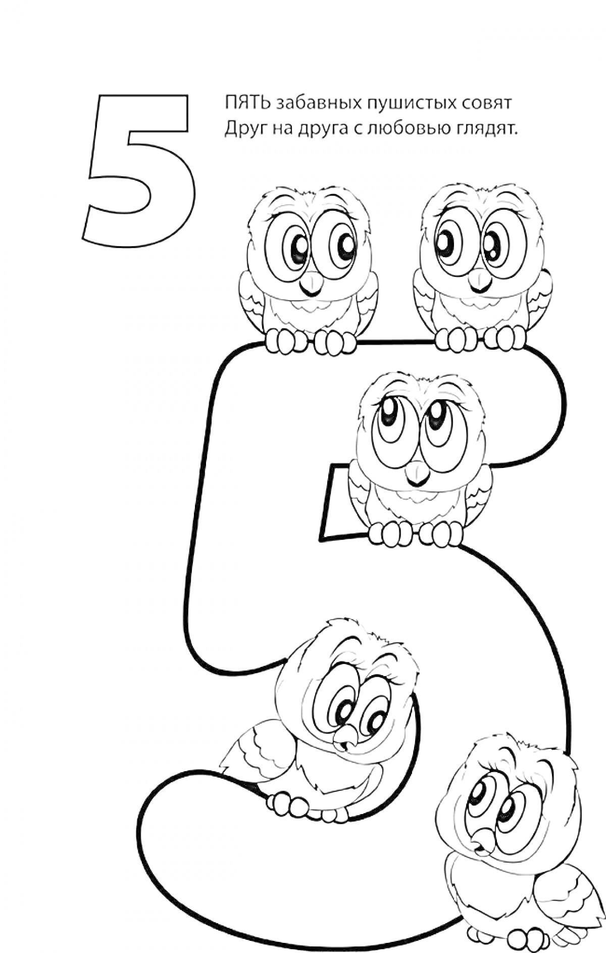 Раскраска Цифра 5 с пятью пушистыми совятами, смотрящими друг на друга