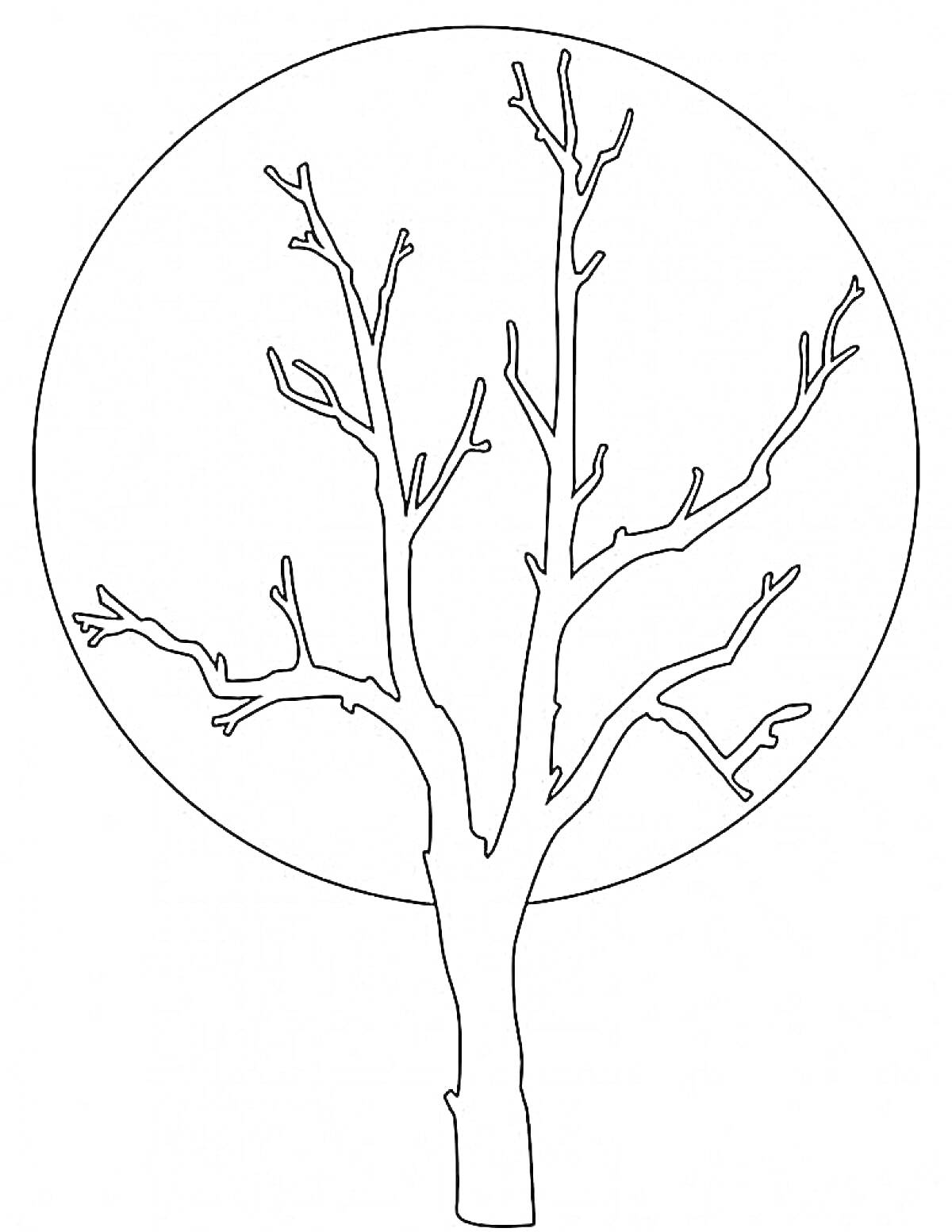 На раскраске изображено: Без листьев, Для детей
