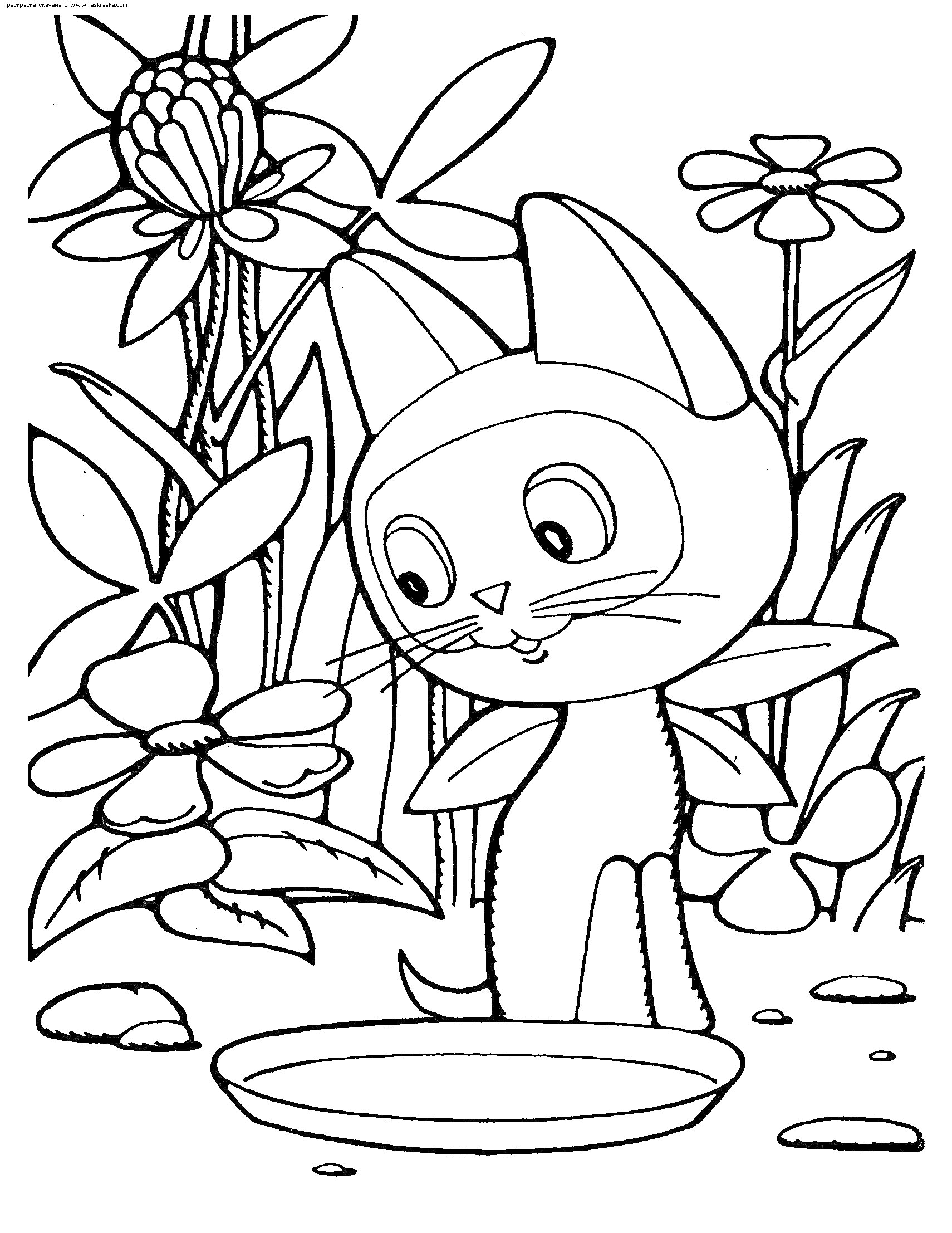 Раскраска Котёнок рядом с миской на фоне цветов и растений