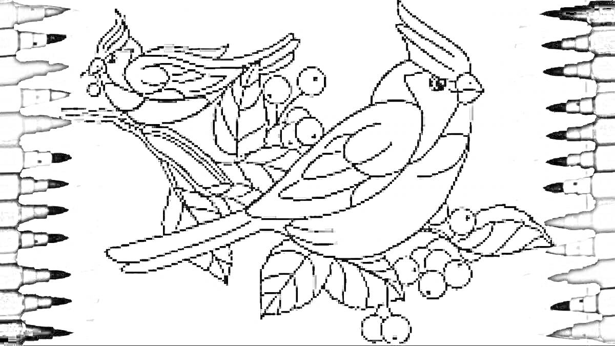 Раскраска Две птицы на ветке с листьями и ягодами