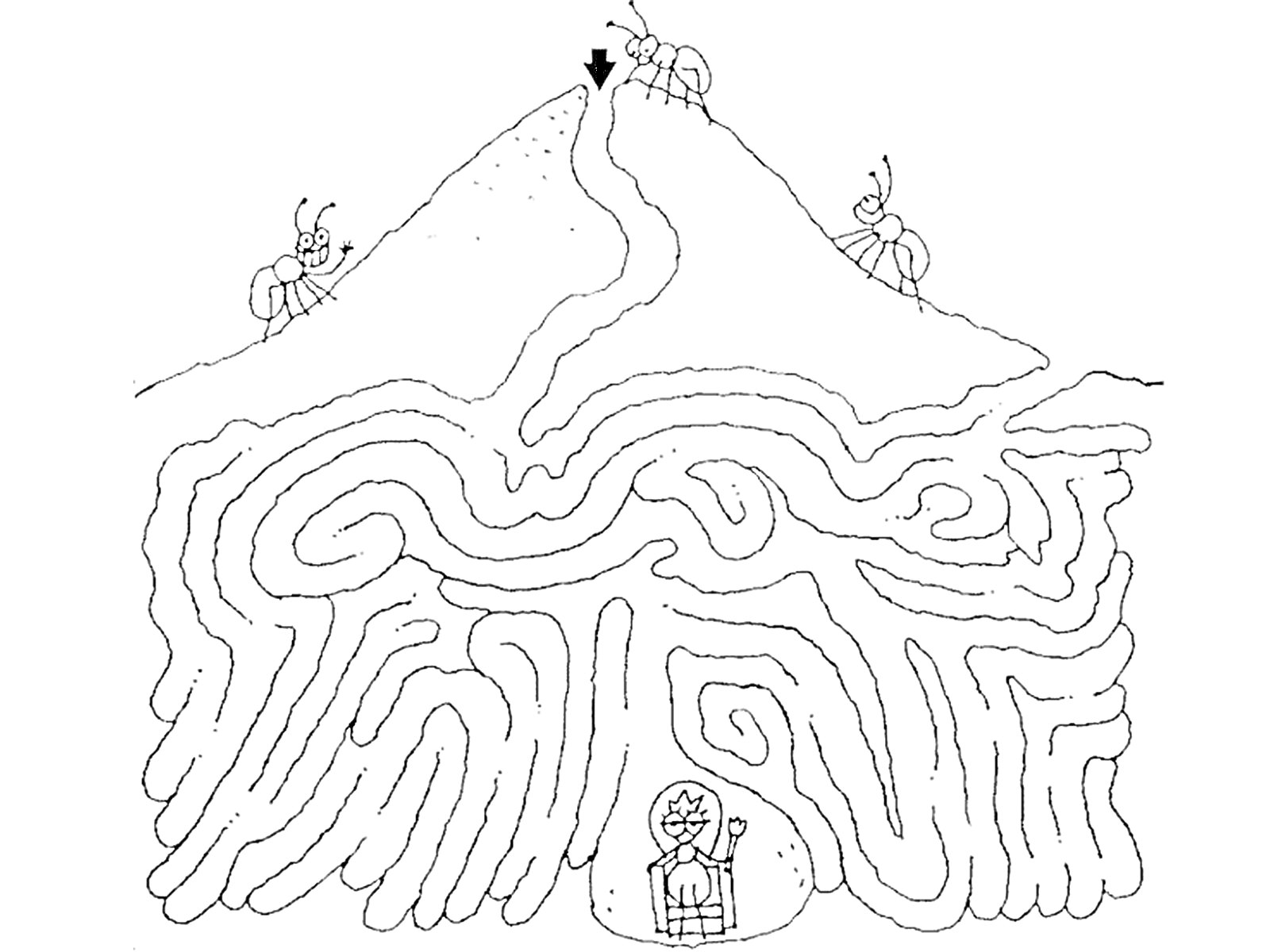 Муравьиный лабиринт на горе с фигурой в центре