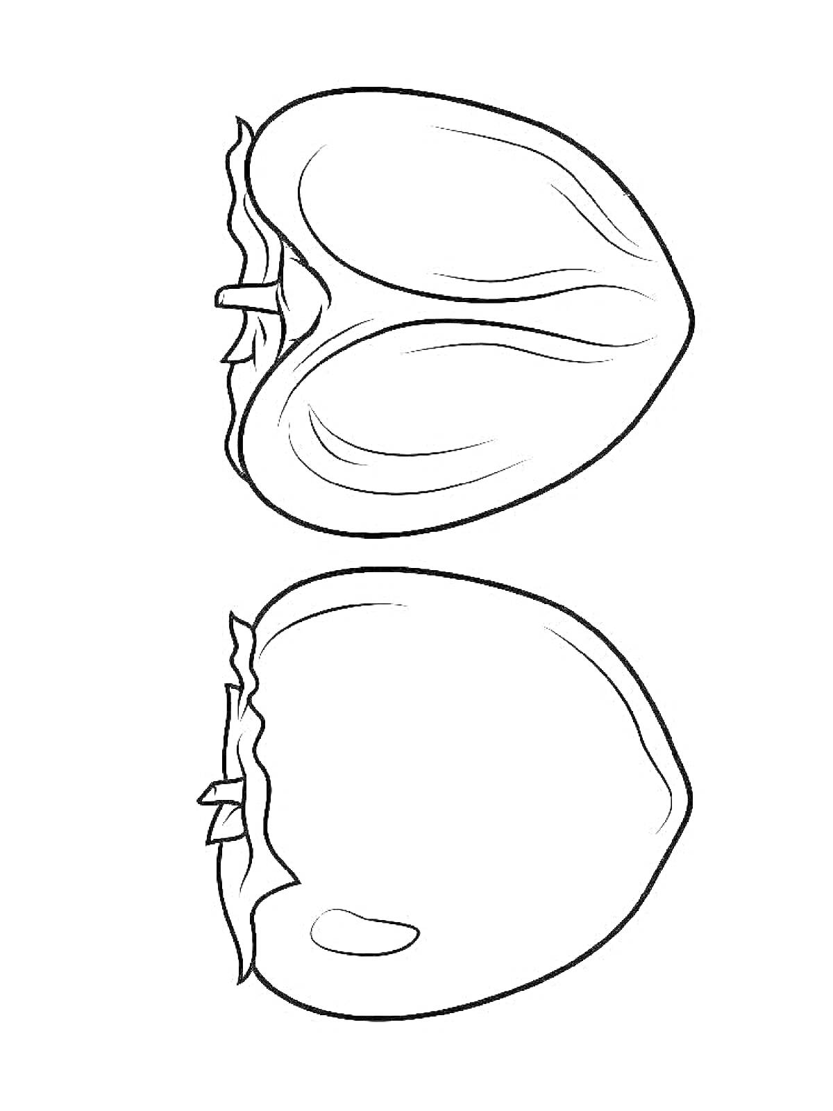 Раскраска Раскраска с изображением целой и разрезанной хурмы