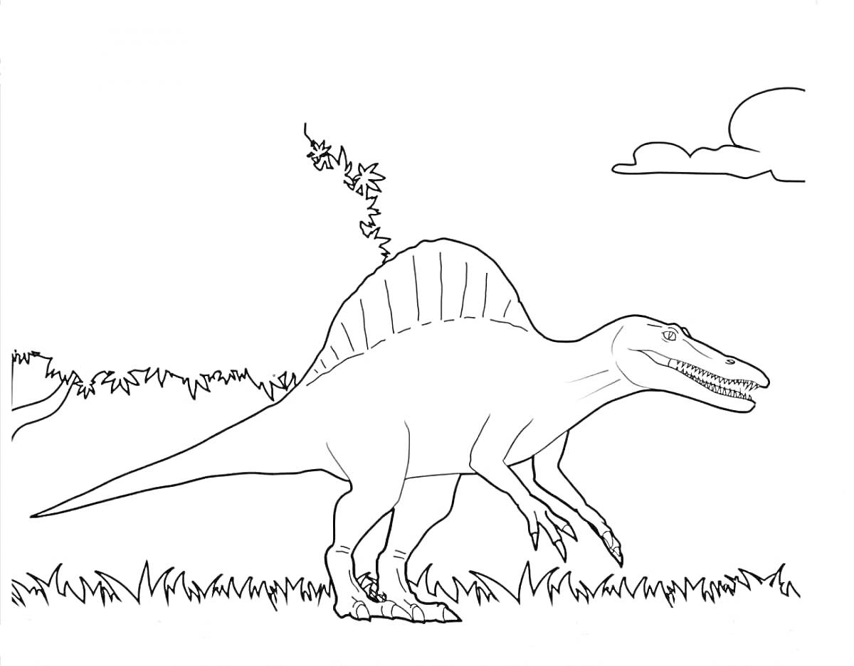 На раскраске изображено: Спинозавр, Динозавр, Природа, Трава, Деревья, Облака, Контурное изображение