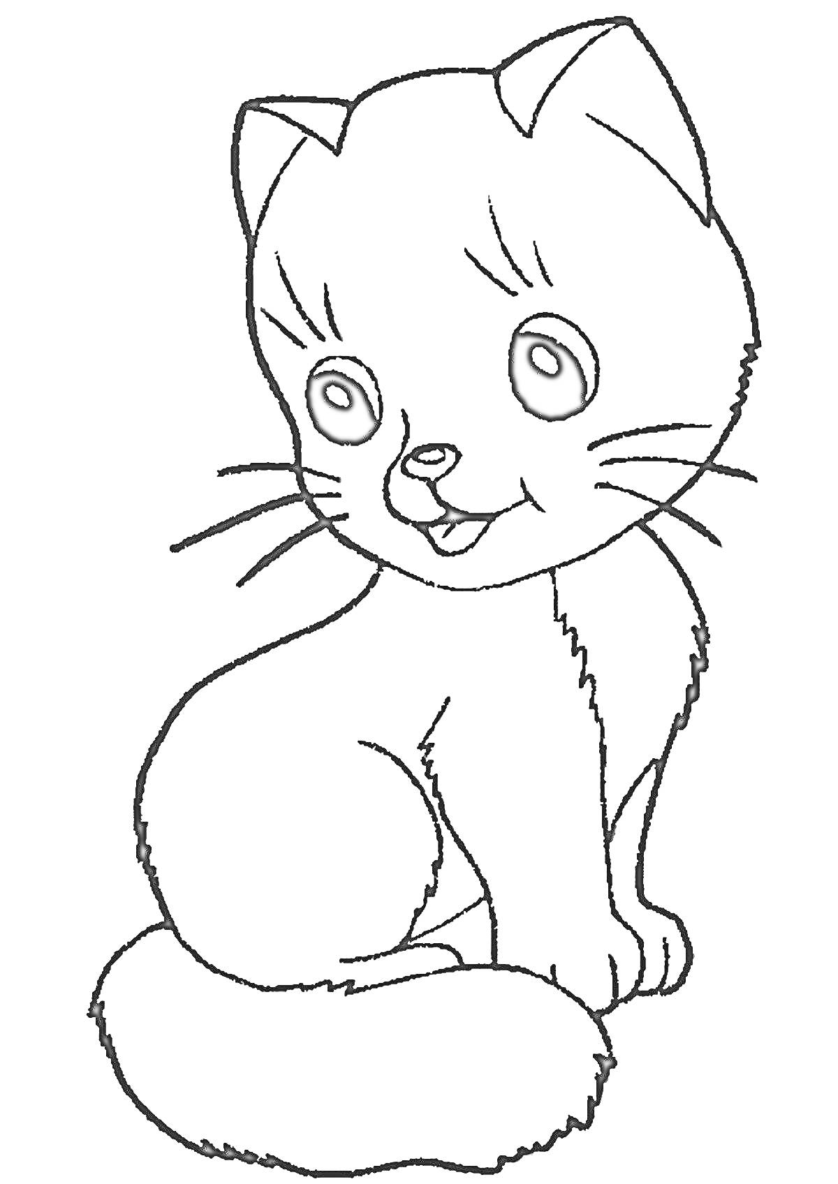 Раскраска Кошка с большими глазами, сидящая и улыбающаяся