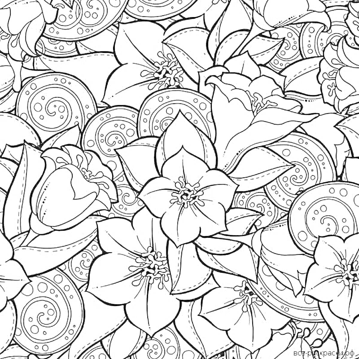 Раскраска Цветок антистресс с круговыми узорами и листочками