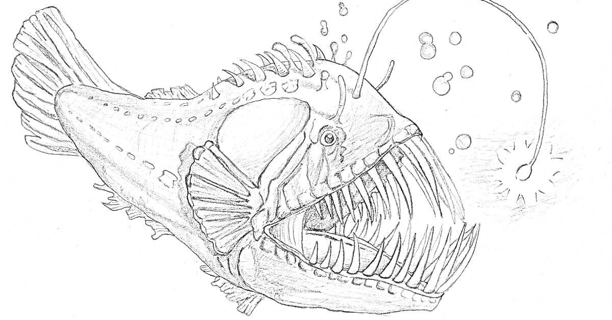 На раскраске изображено: Удильщик, Рыба, Морская жизнь, Зубы, Пузыри