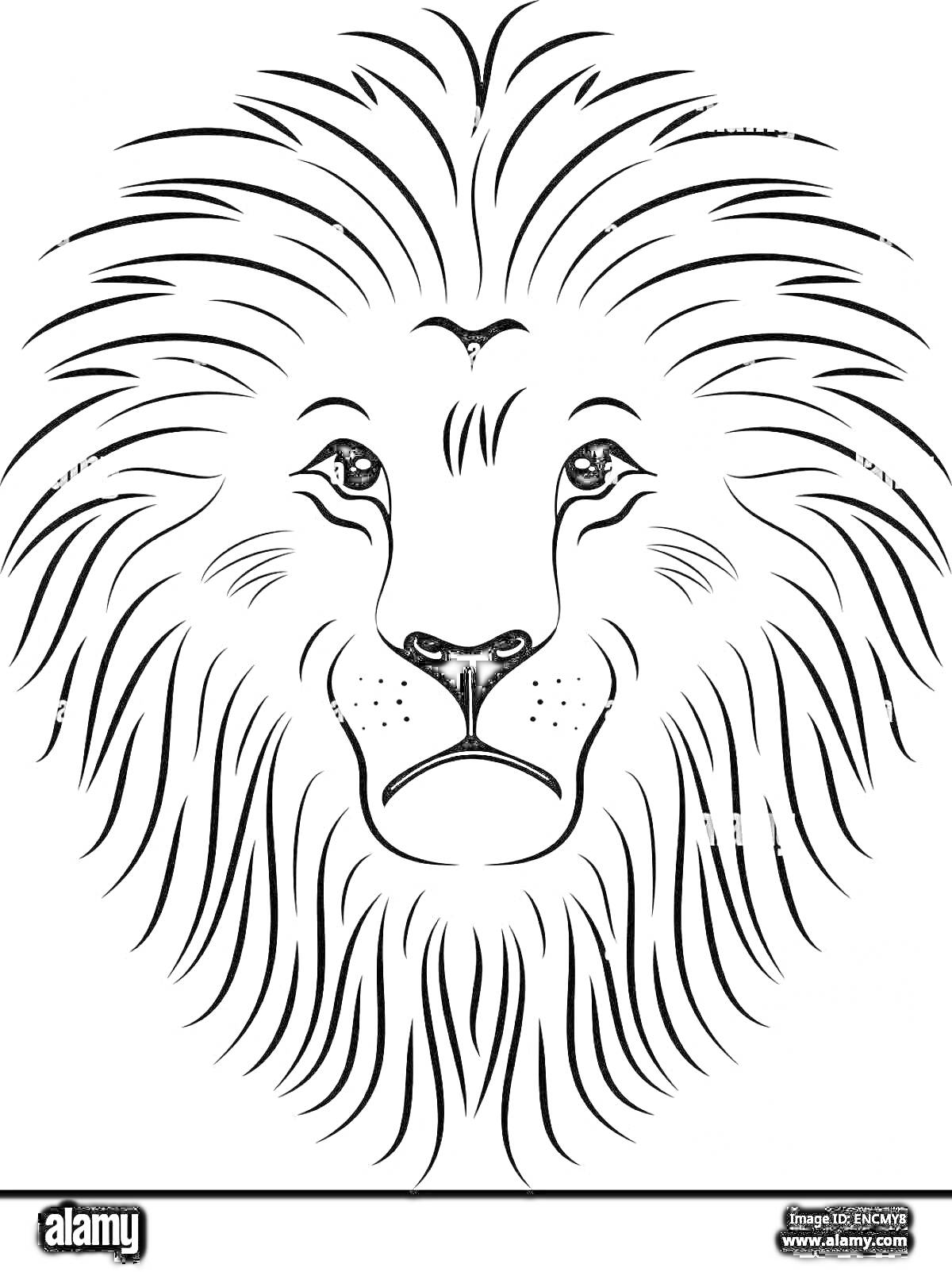На раскраске изображено: Лев, Морда, Грива, Искусство