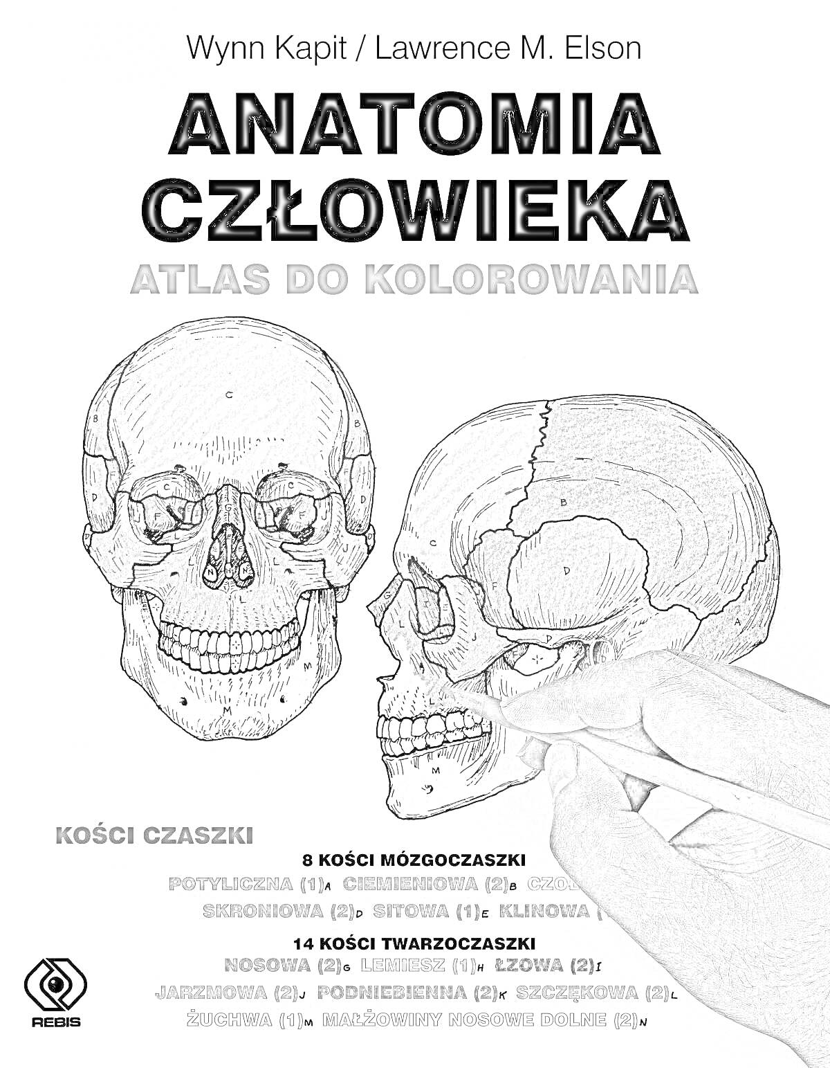 Раскраска Атлан человека для раскрашивания, включает изображение черепа человека, руку, раскрашивающую челюсть черепа, и список костей черепа на польском языке.