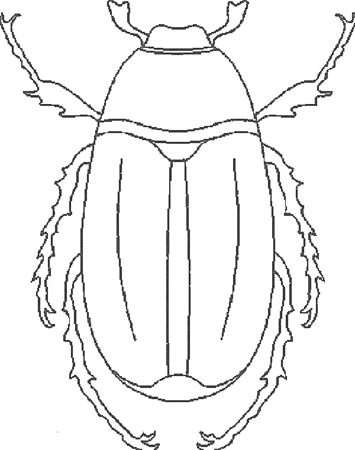 Раскраска Контур жука с антеннами и ногами