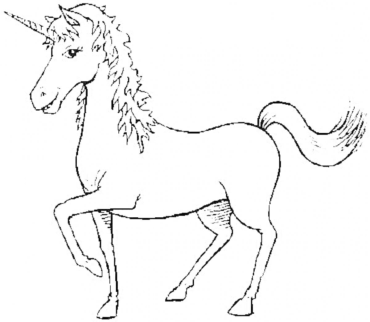 Раскраска Единорог с поднятой передней ногой, распущенной гривой и хвостом