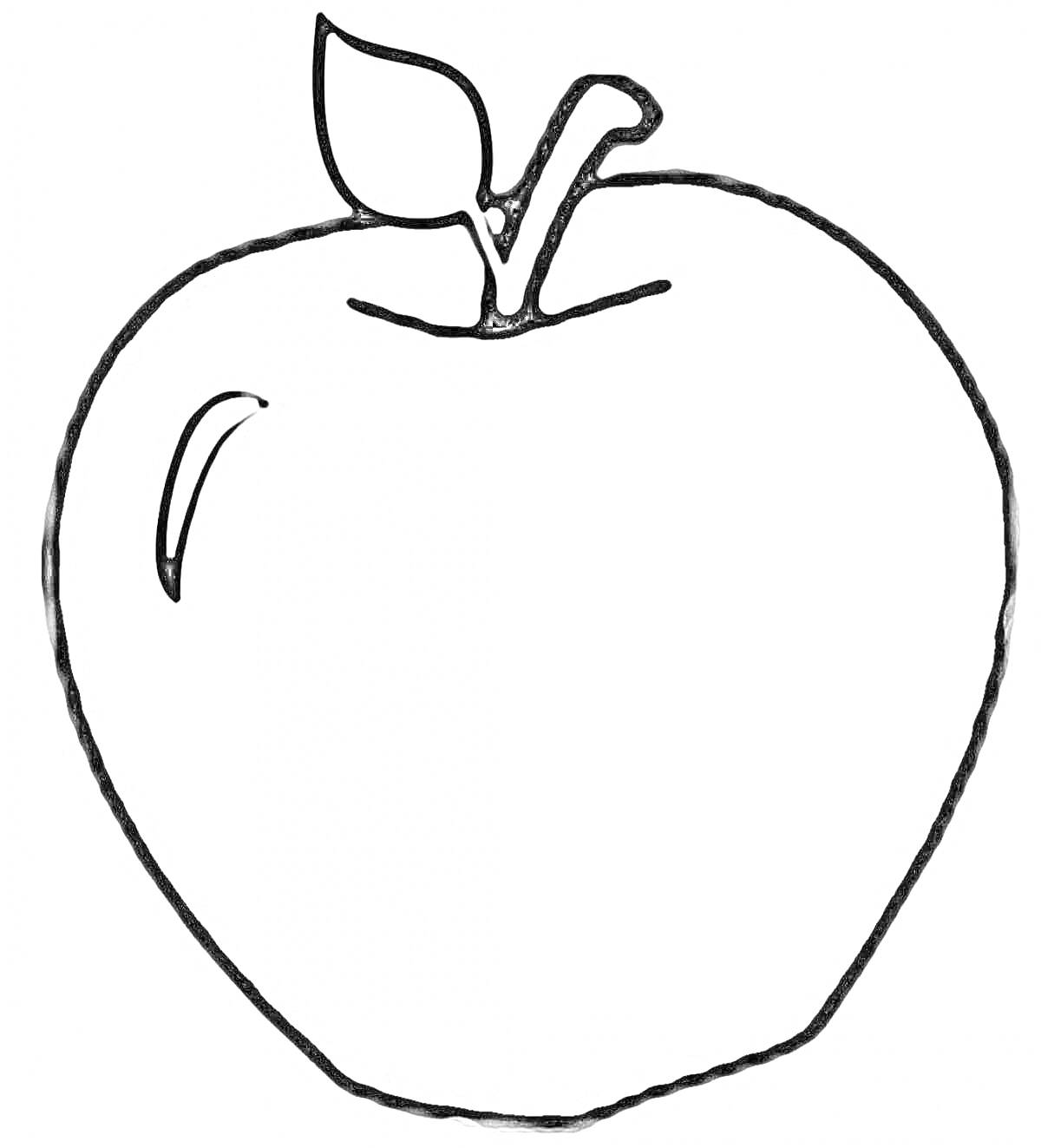 Раскраска Контур яблока с листом и бликом